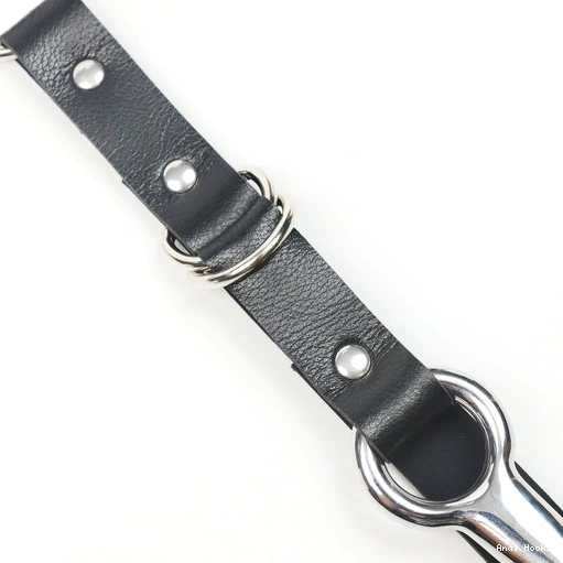 Anal Hooks Anal Kinky Leash 5853 and with Hook EverydayUse Collar 0114